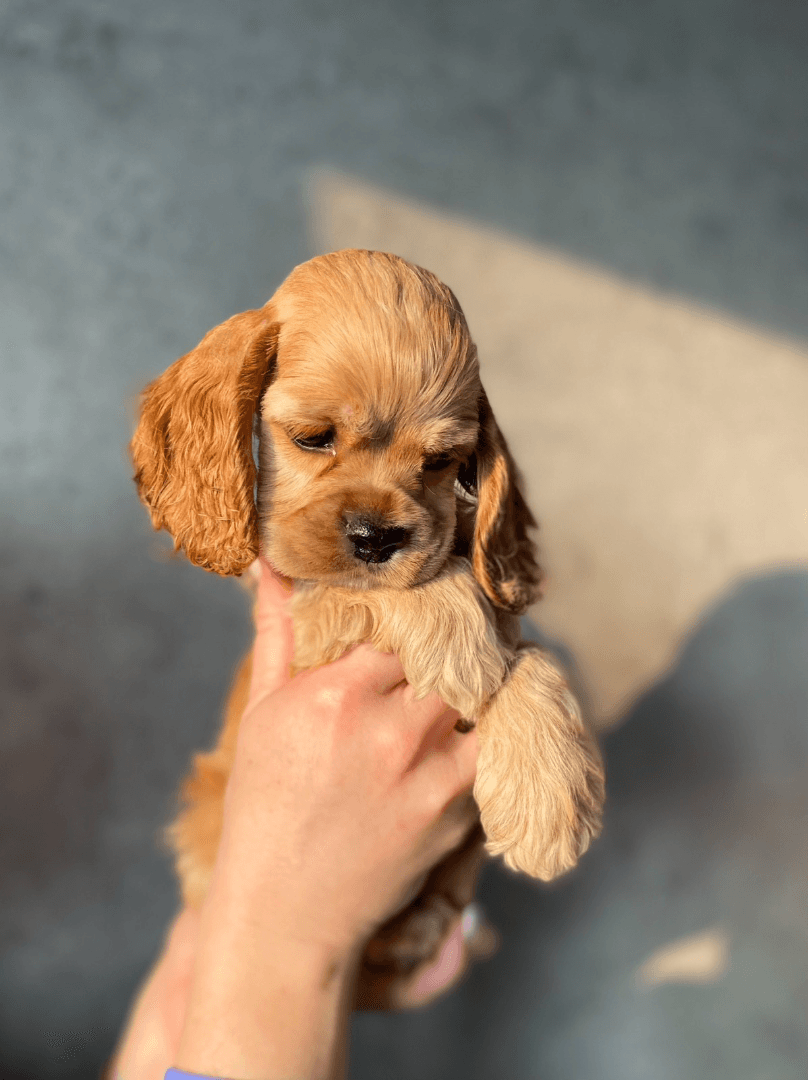 carousel-image-mobile-4