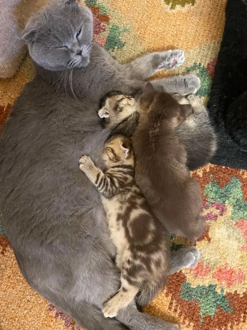 carousel-image-mobile-1