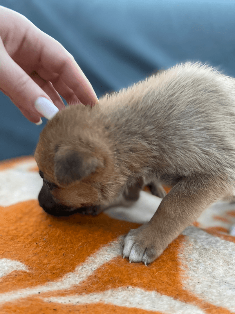 carousel-image-mobile-2