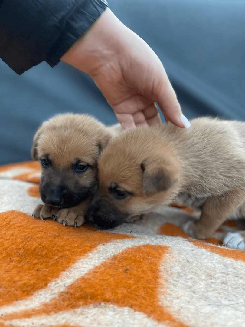 carousel-image-mobile-3