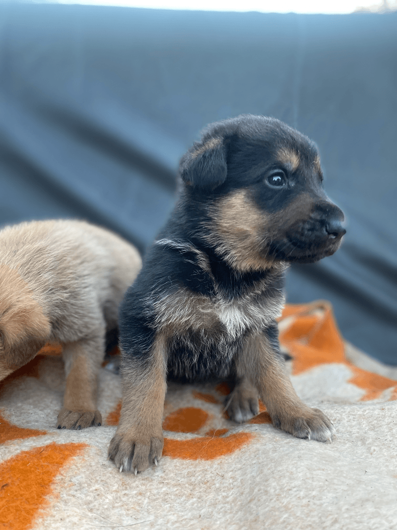 carousel-image-mobile-4