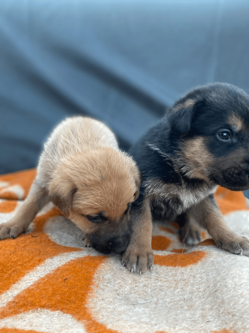 carousel-image-mobile-5