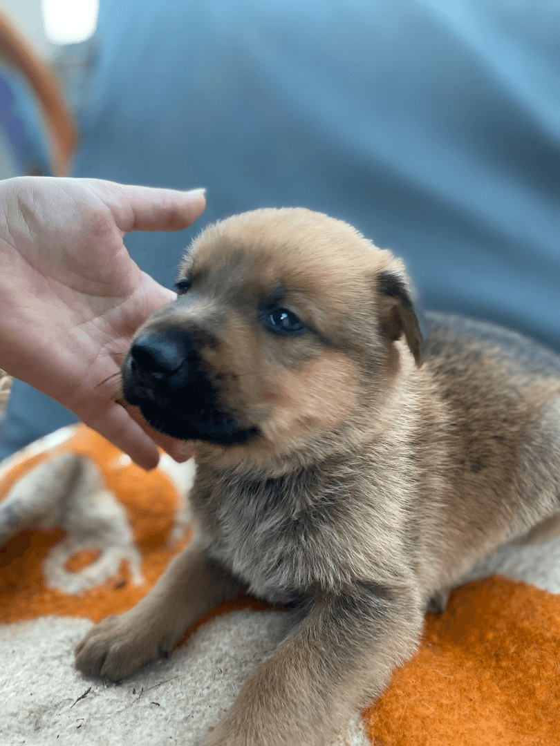 carousel-image-mobile-6