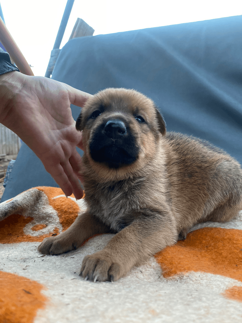 carousel-image-mobile-7