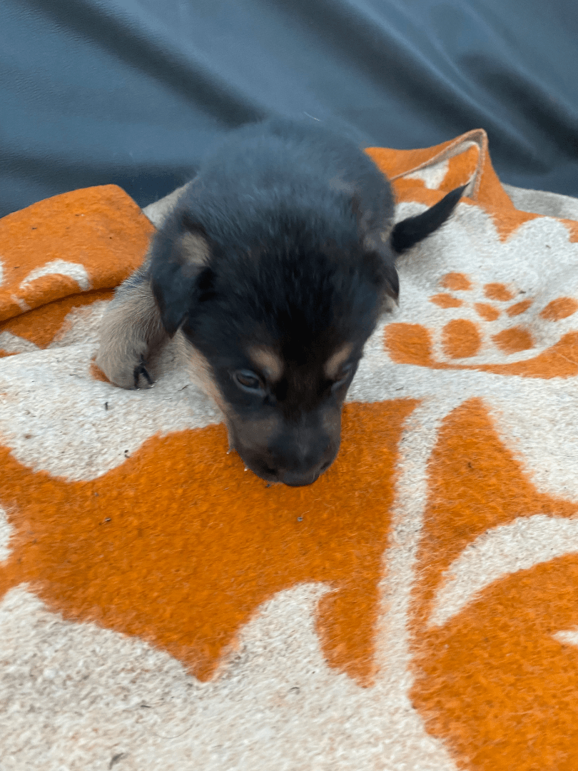 carousel-image-mobile-9