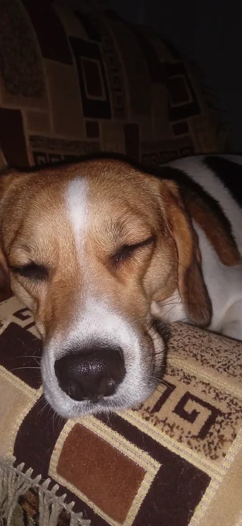 carousel-image-mobile-1