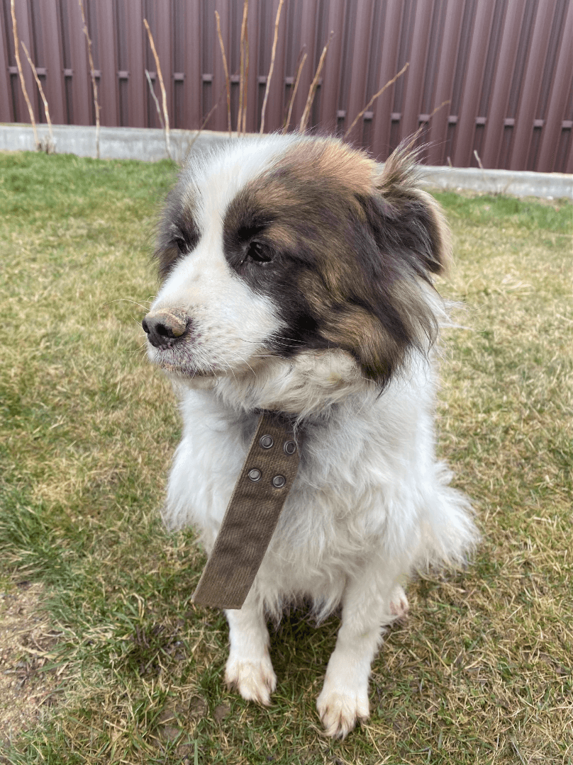 carousel-image-mobile-1