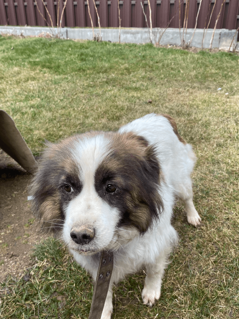 carousel-image-mobile-2