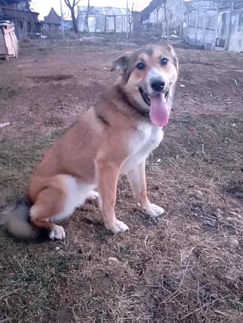 carousel-image-mobile-1