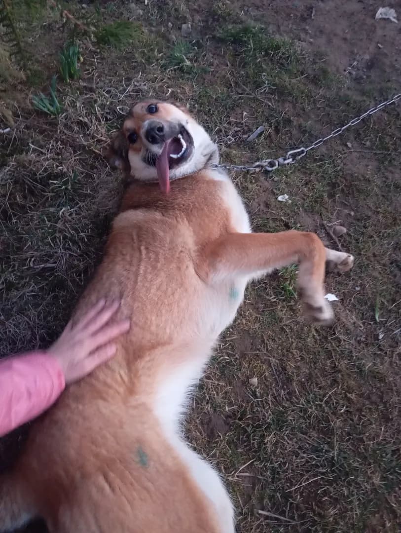 carousel-image-mobile-2