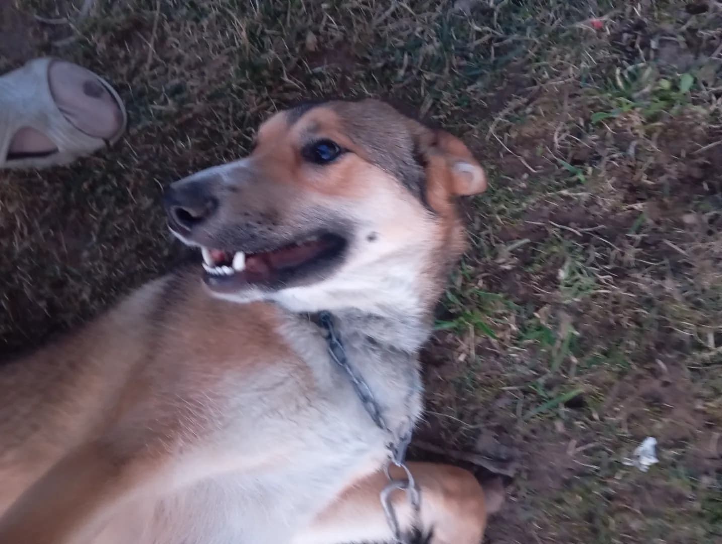 carousel-image-mobile-3