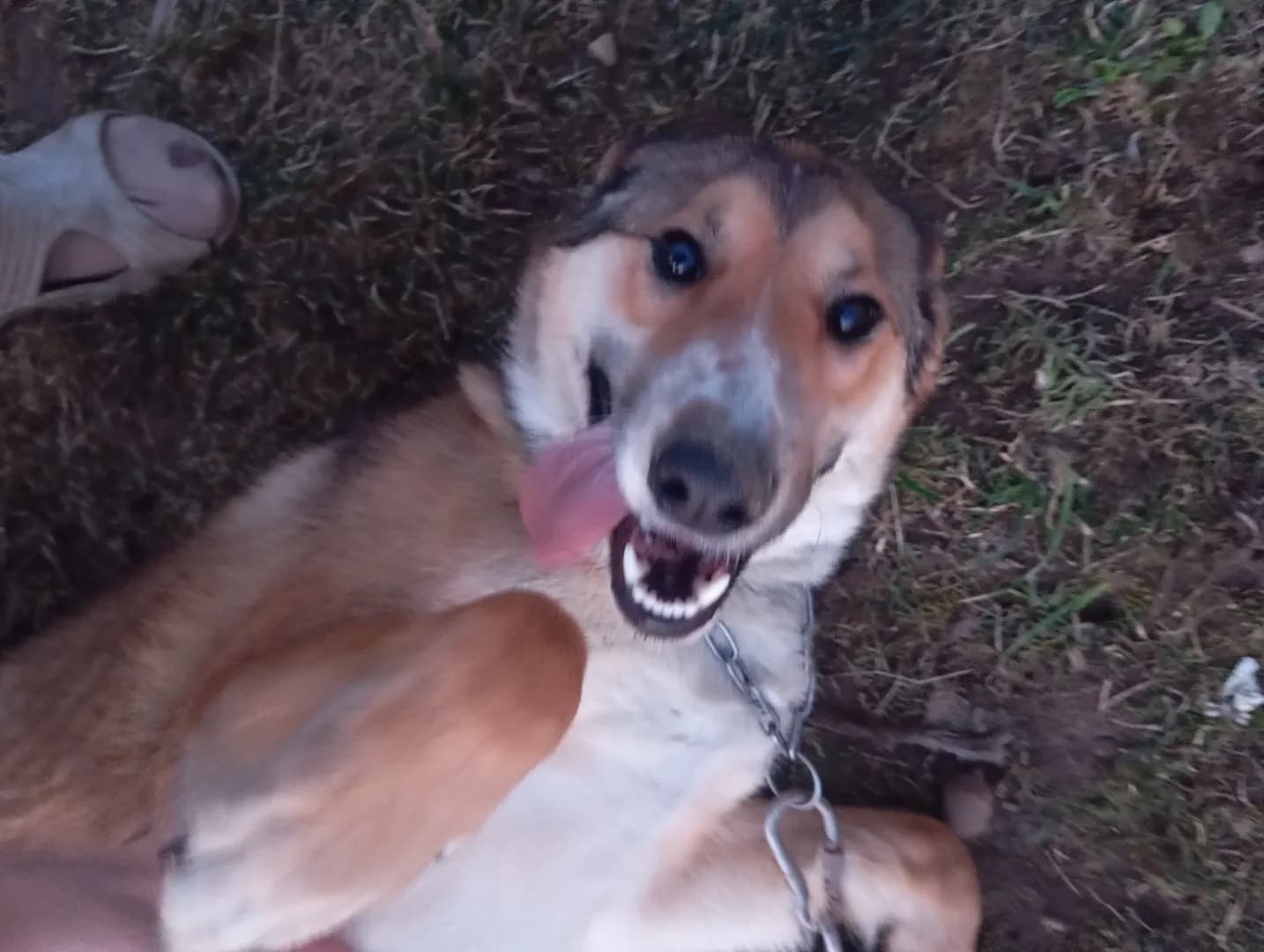 carousel-image-mobile-4