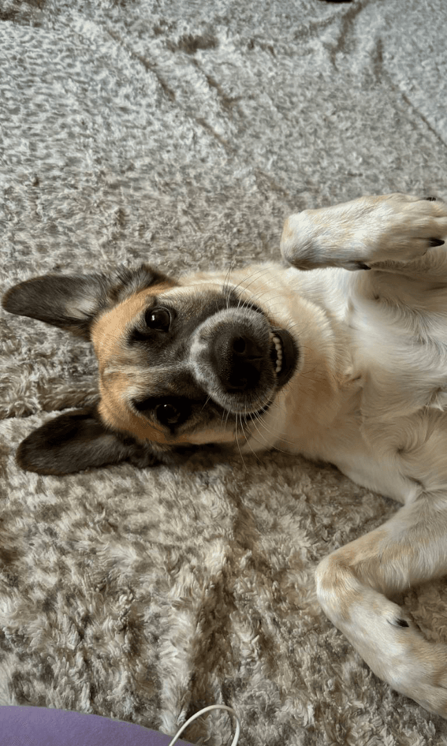 carousel-image-mobile-1