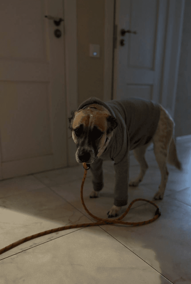 carousel-image-mobile-2