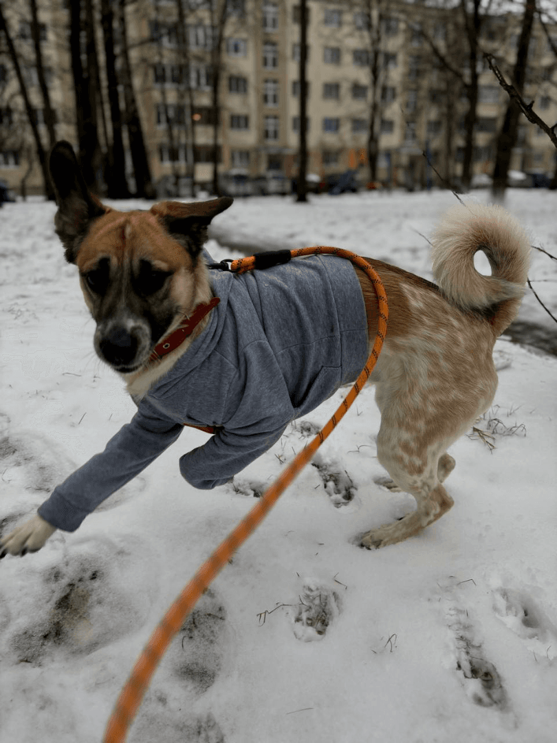 carousel-image-mobile-3