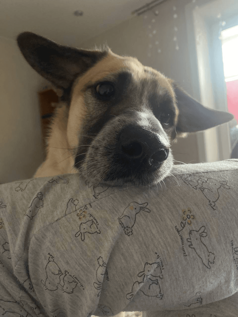 carousel-image-mobile-4