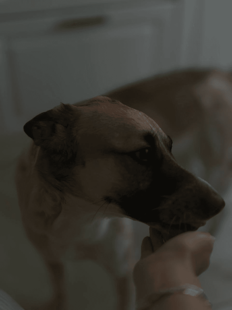 carousel-image-mobile-5