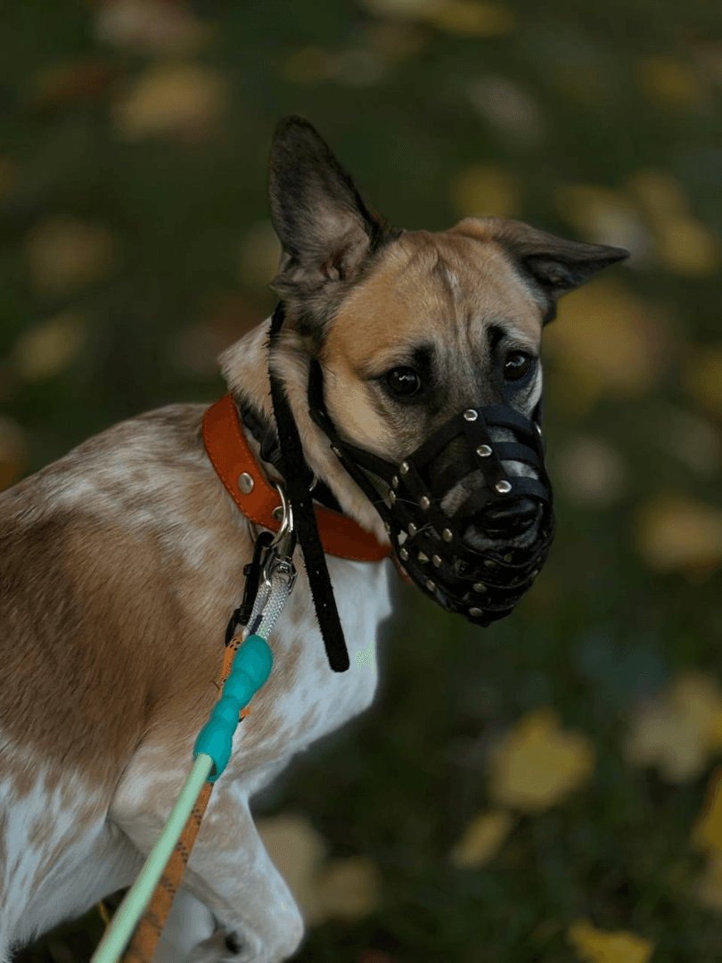 carousel-image-mobile-6