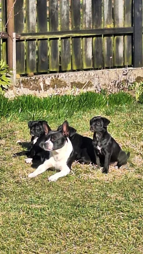 carousel-image-mobile-2