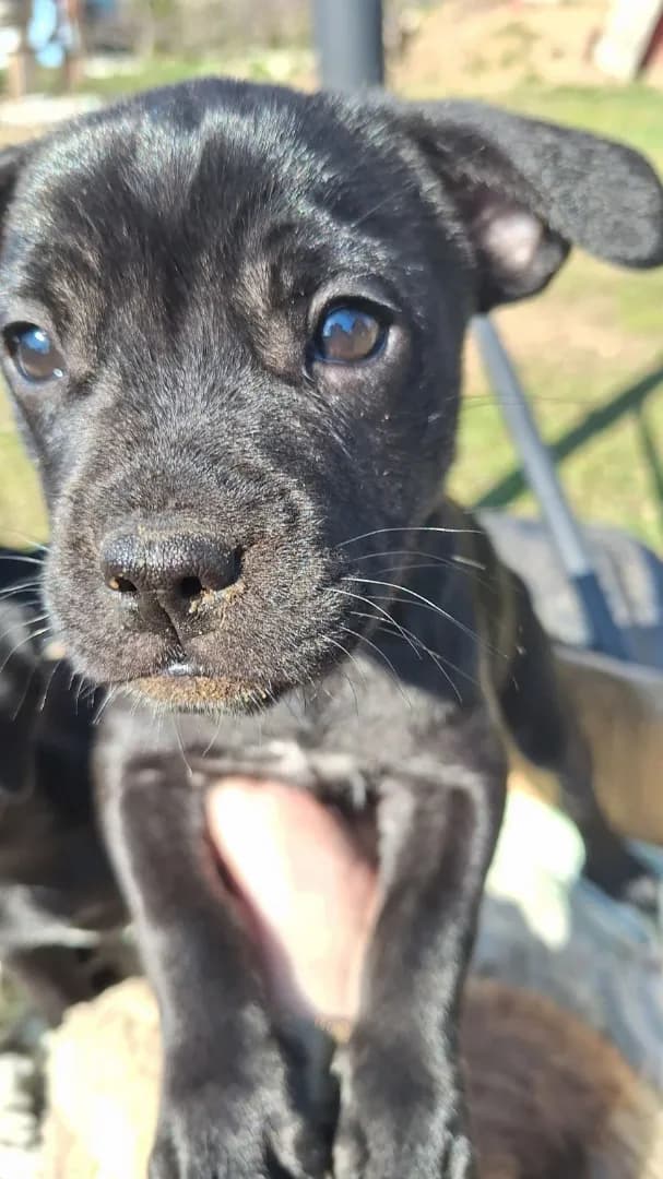 carousel-image-mobile-4