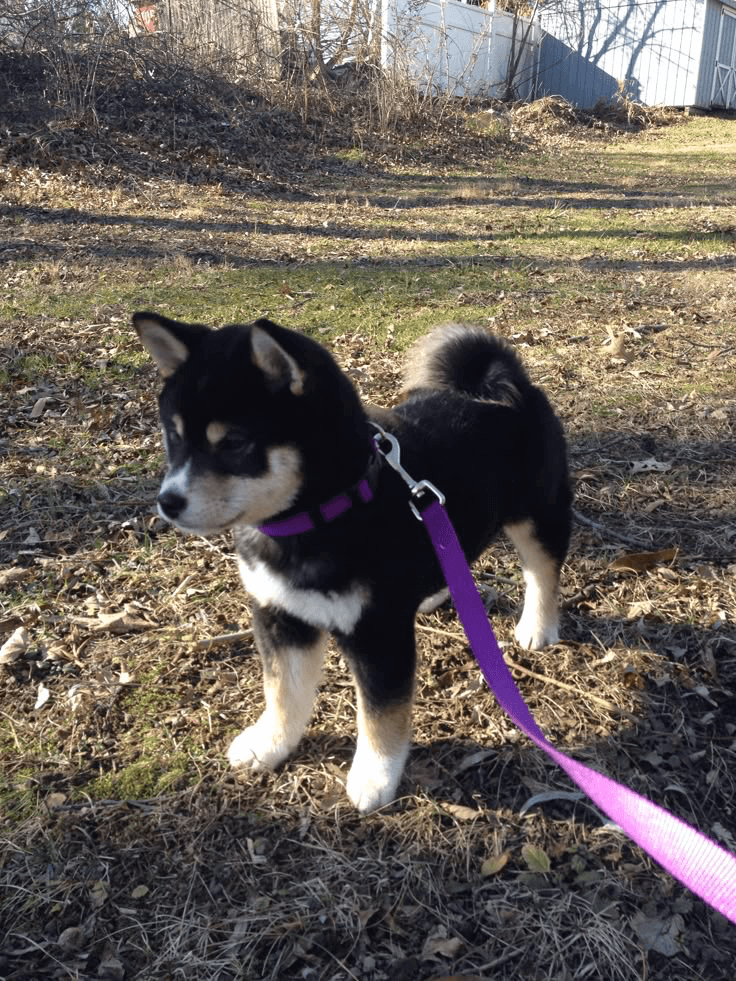 carousel-image-mobile-1