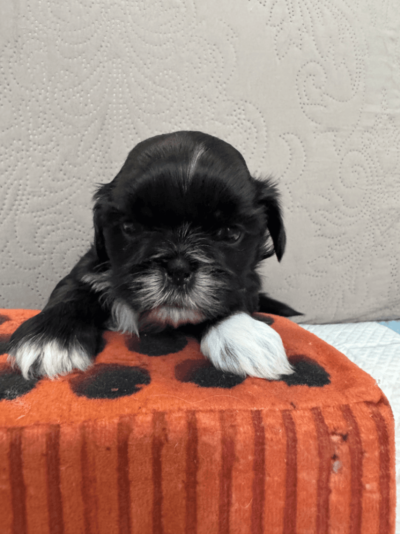 carousel-image-mobile-1