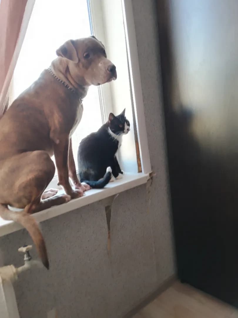 carousel-image-mobile-2