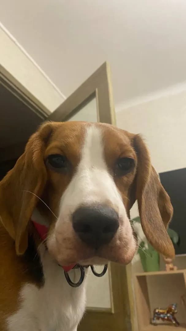 carousel-image-mobile-1