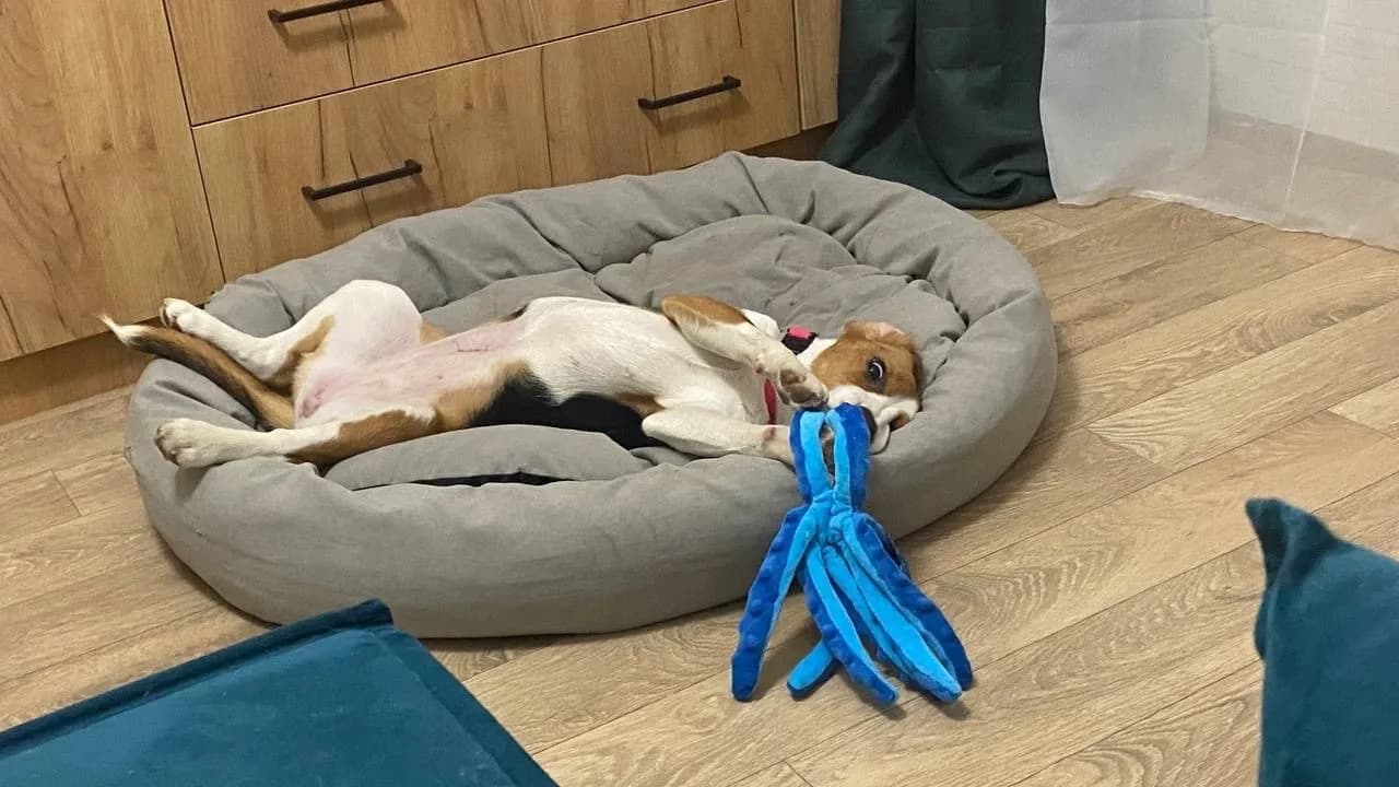 carousel-image-mobile-2