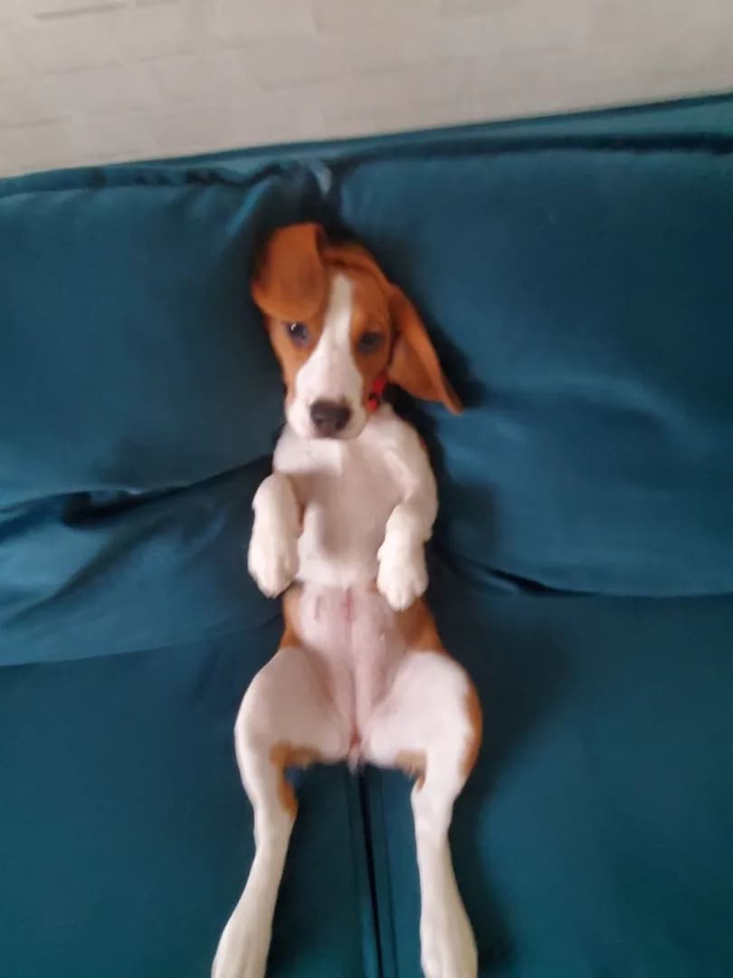 carousel-image-mobile-3