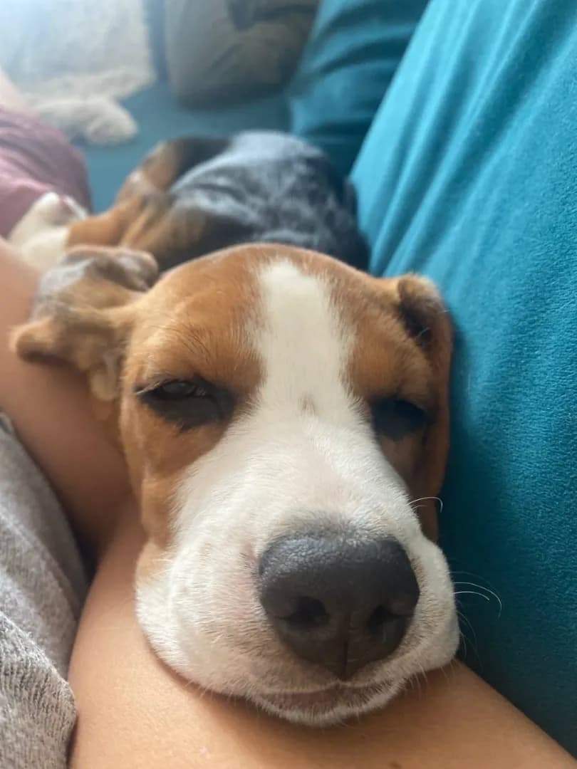 carousel-image-mobile-4