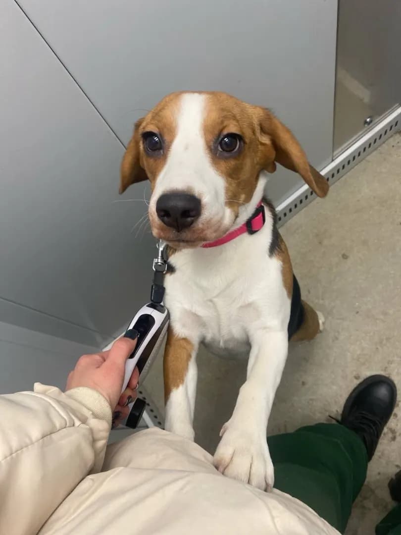 carousel-image-mobile-5