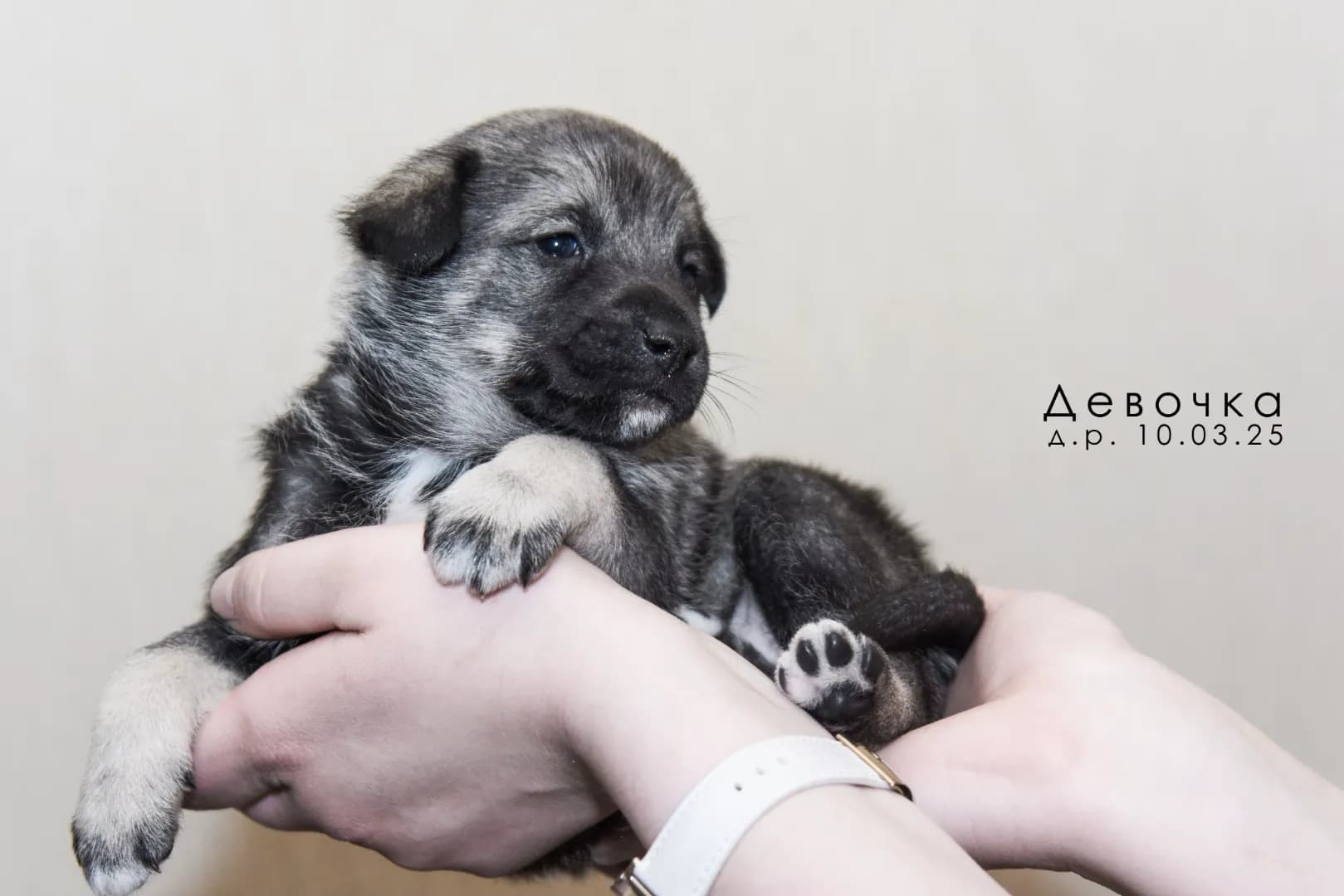 carousel-image-mobile-1