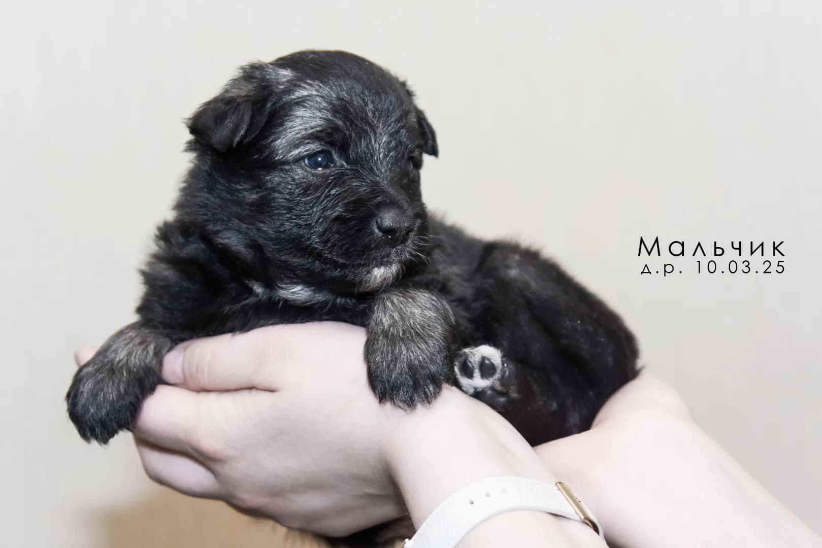 carousel-image-mobile-2