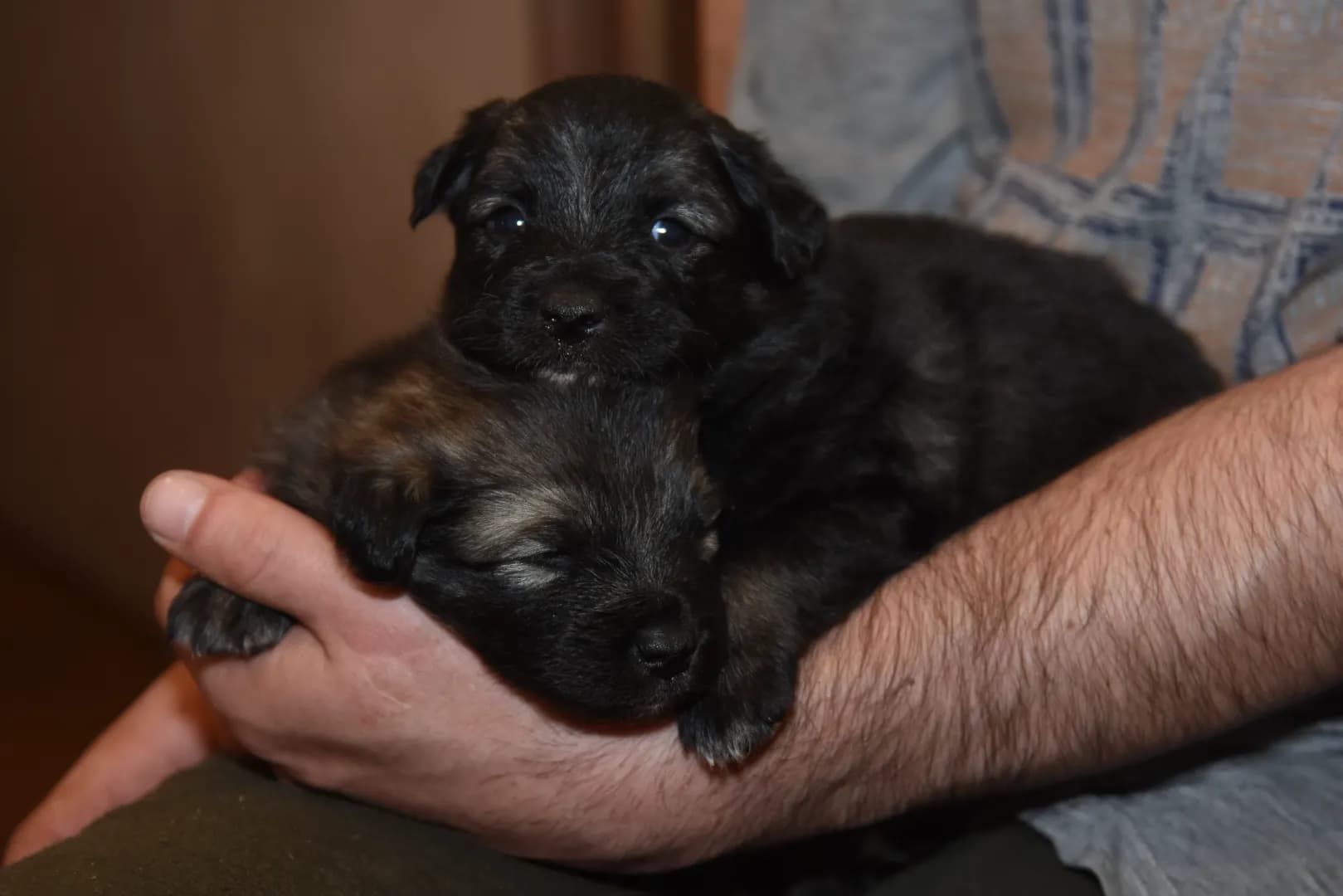 carousel-image-mobile-3