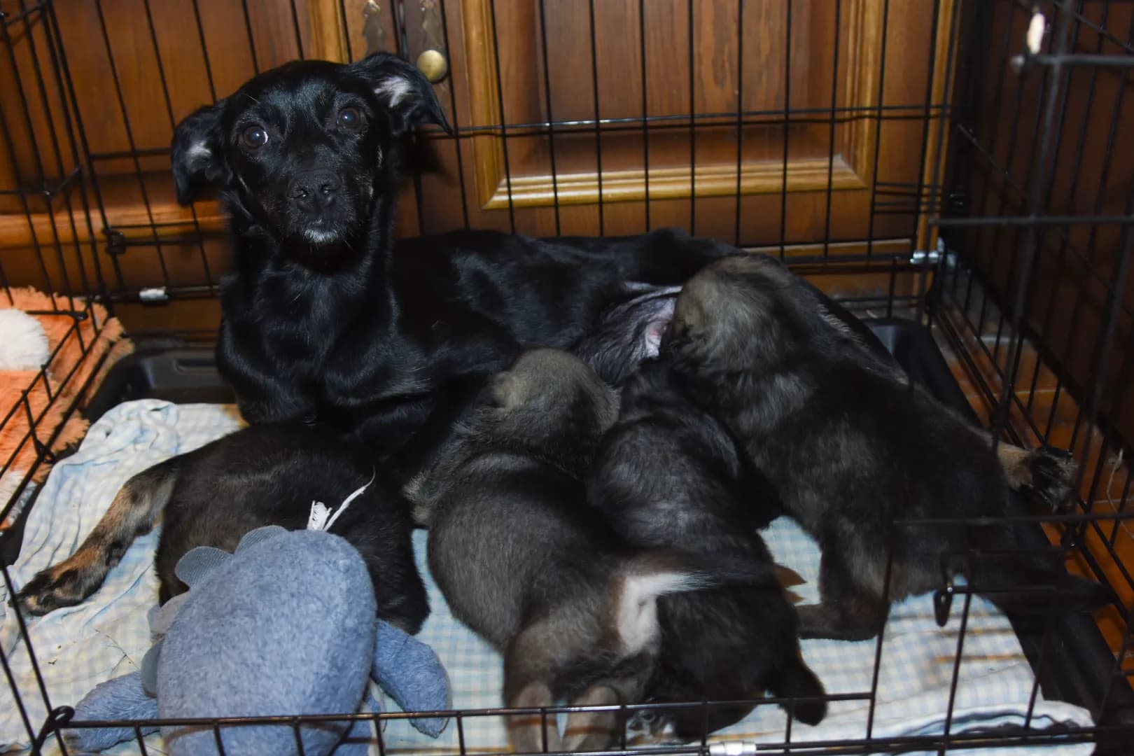 carousel-image-mobile-4