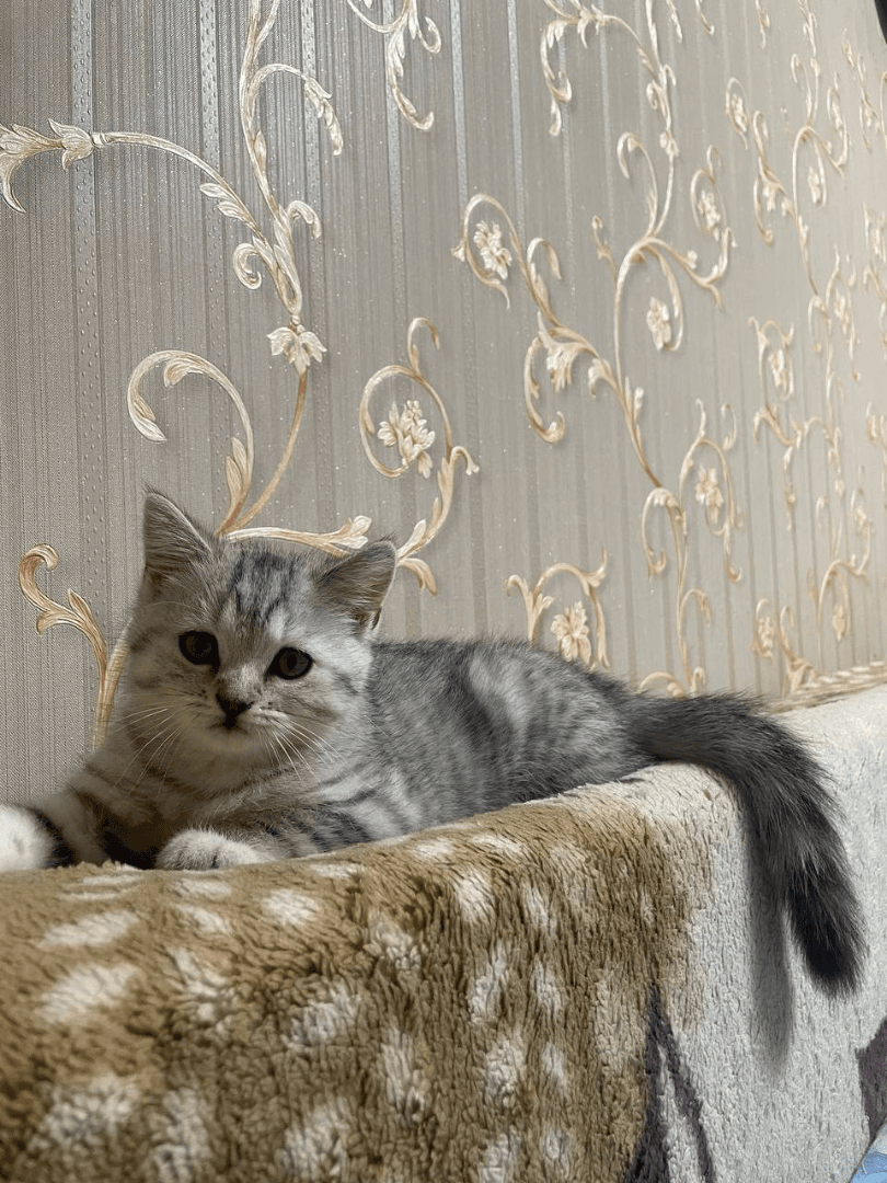 carousel-image-mobile-1