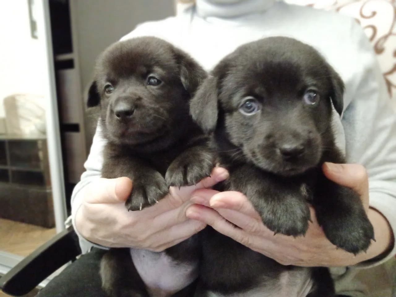 carousel-image-mobile-1