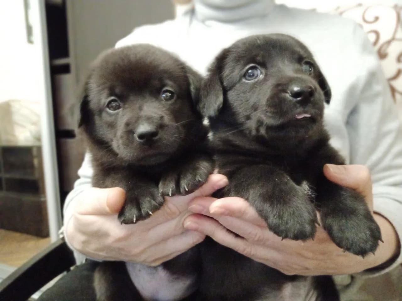 carousel-image-mobile-2