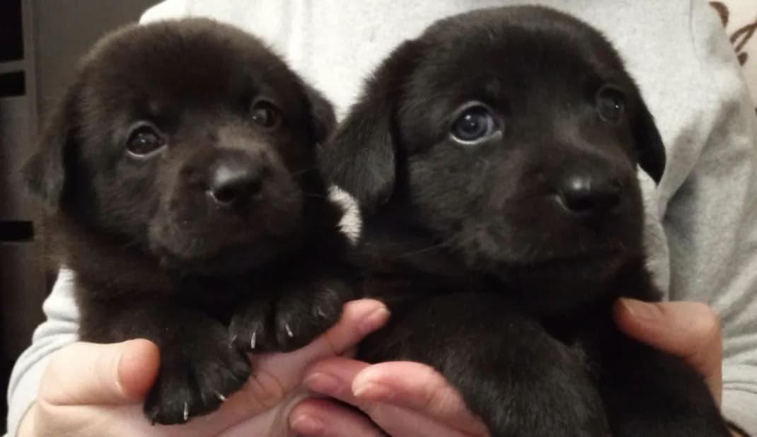 carousel-image-mobile-1