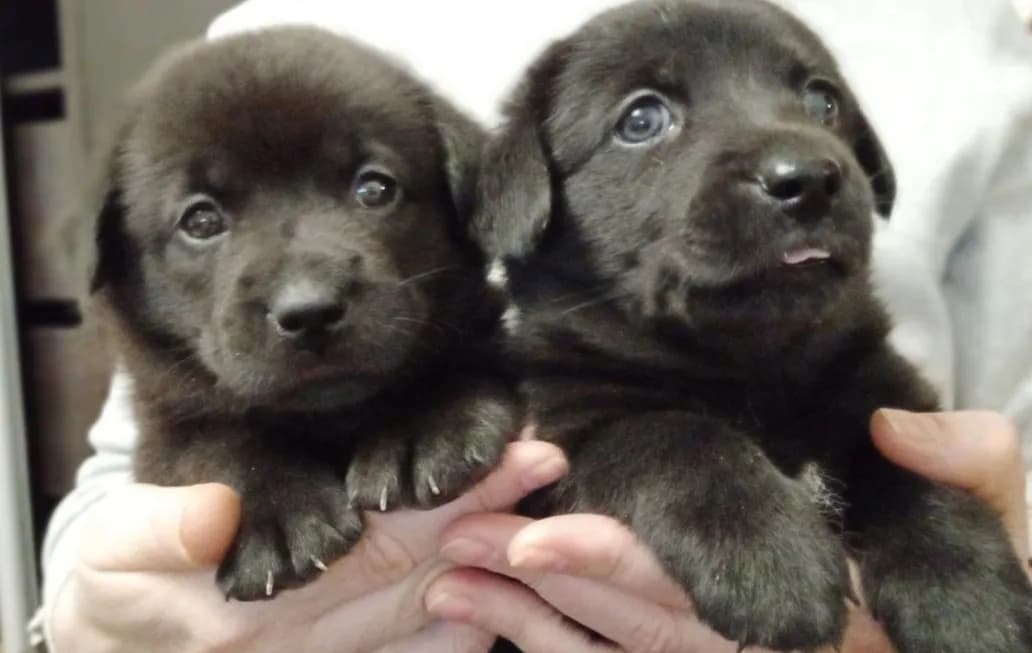 carousel-image-mobile-2