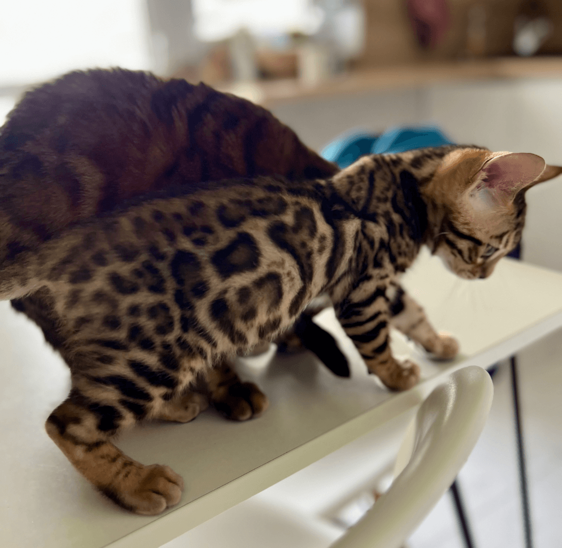 carousel-image-mobile-1