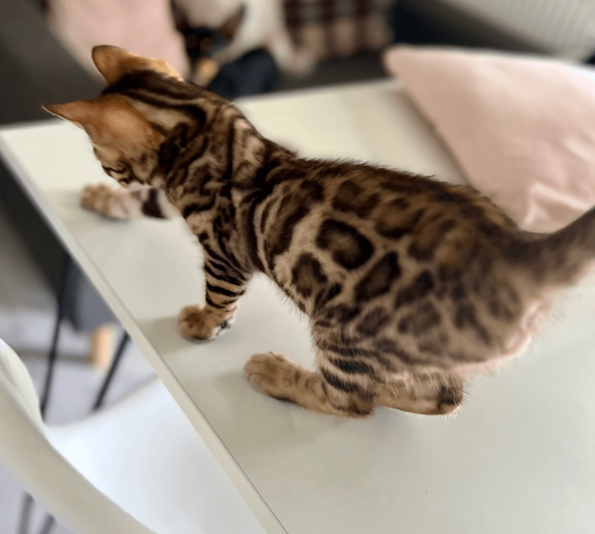 carousel-image-mobile-4