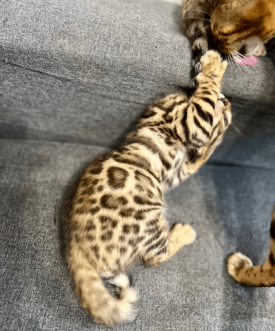 carousel-image-mobile-6