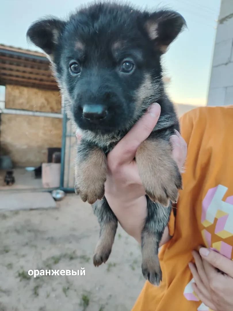 carousel-image-mobile-2