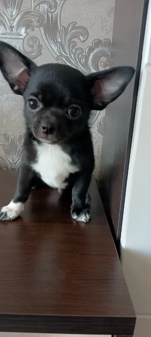 carousel-image-mobile-1