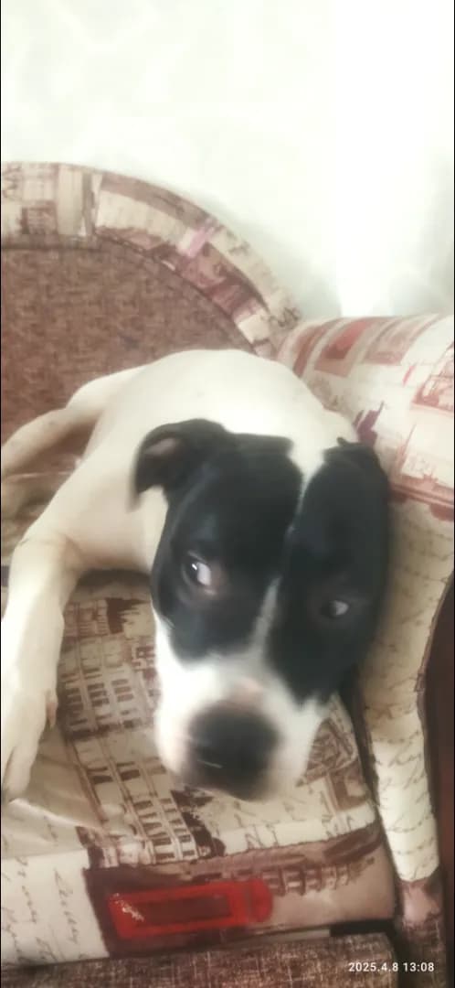 carousel-image-mobile-1