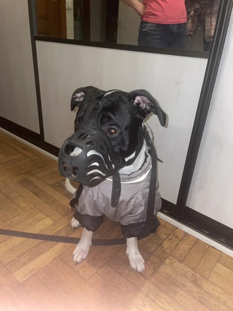 carousel-image-mobile-2