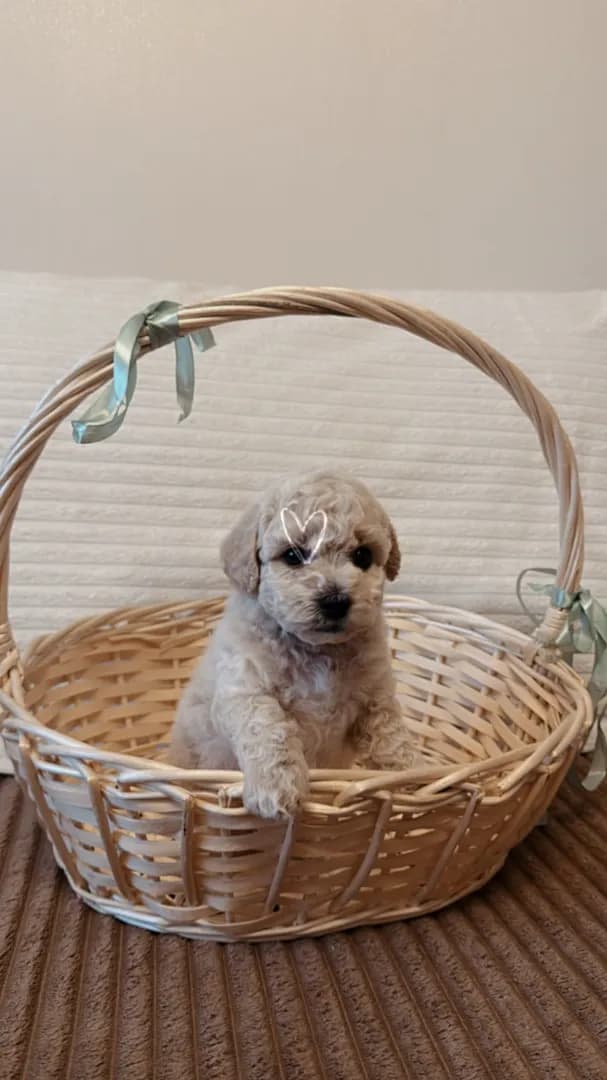 carousel-image-mobile-1