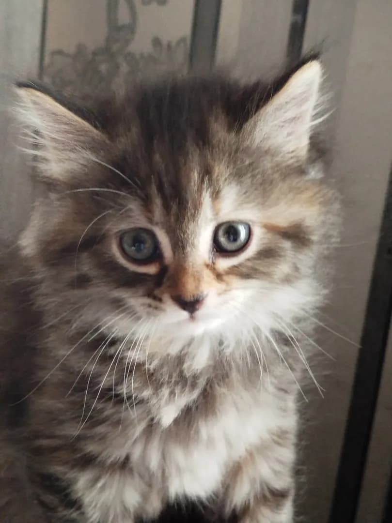 carousel-image-mobile-1